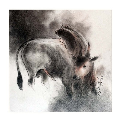 Bull-5-Charcoal-Drawing-S-V-Hugar-IndiGalleria-2011