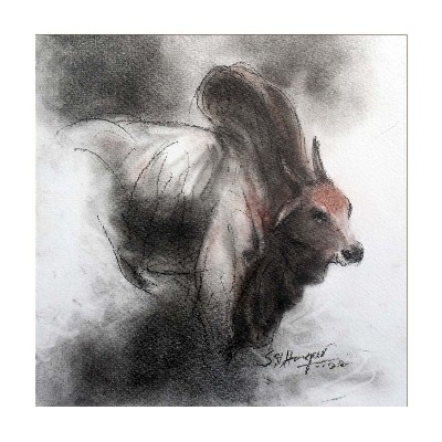 Bull-6-Charcoal-Drawing-S-V-Hugar-IndiGalleria-2011