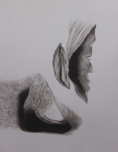 Untitled-6-Charcoal-Drawing-Kranti-Bankar-IndiGalleria-IG1020